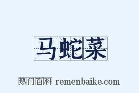马蛇菜是什么意思的图片